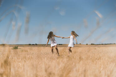 Lesbisches Paar hält sich an den Händen und spielt auf einem landwirtschaftlichen Feld - DAMF00476