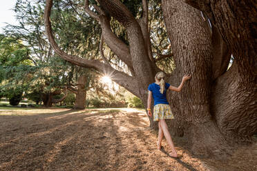 Blonde haired girl walking around large tree on a sunny day - CAVF89530