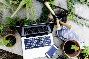 High angle view of laptop, smart phone, plant in back yard - FMOF01104