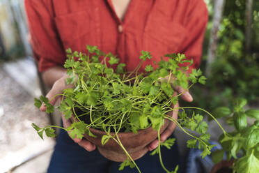 Close-up of woman holding plant - FMOF01146