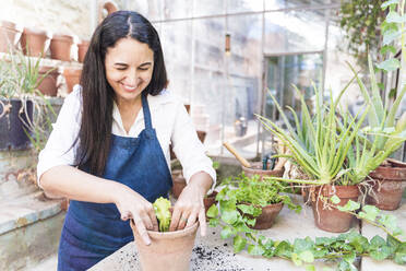 Frau lächelt beim Pflanzen von Pflanzen im Gartenhaus - FMOF01147