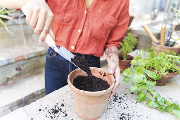 Nahaufnahme einer Frau, die im Gartenhaus stehend Erde aufträgt - FMOF01148