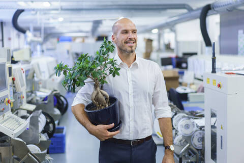 Smiling businessman holding potted plant while looking away at factory stock photo