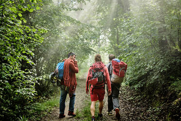 Back view of company of male mountaineers with climbing equipment and backpacks walking along path in woods - ADSF15687