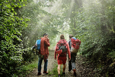 Rückenansicht einer Gruppe von männlichen Bergsteigern mit Kletterausrüstung und Rucksäcken, die einen Waldweg entlanggehen - ADSF15687