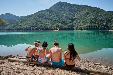 Rückansicht einer Gruppe freundlicher Menschen, die sich auf einem Baumstamm in der Nähe eines Sees ausruhen und den sonnigen Tag während des gemeinsamen Urlaubs genießen - ADSF15697