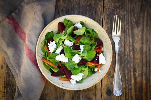 Schüssel mit vegetarischem Salat mit gerösteten Karottenstreifen, Roter Bete, Feldsalat, Ziegenkäse und spanischen Zwiebeln - LVF09024