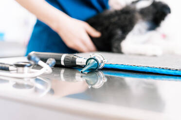 Crop view of anonymous veterinarian ready to examine ear of furry puppy while working in modern vet clinic - ADSF15741