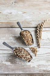 Zwei Portionskugeln mit grunkernem Dinkel und Quinoa - EVGF03822