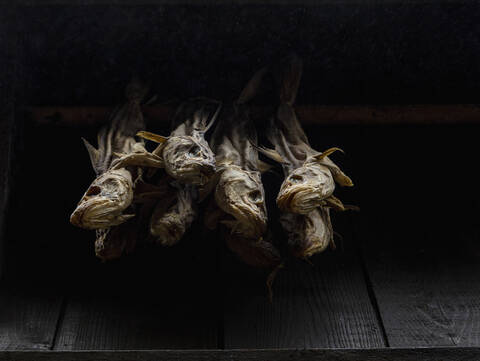 Dried fish on black background stock photo