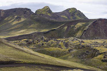 Aussicht auf moosbewachsene Felsformationen, Island - FSIF05204