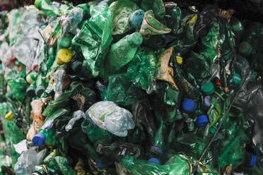 Recycelte grüne Plastikflaschen - FSIF05214