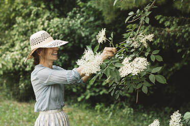 Lächelnde Frau, die im Garten stehend eine Blume von einer blühenden Pflanze pflückt - ALBF01564