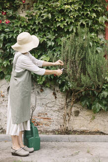 Frau mit Hut beschneidet Pflanzen, während sie an einer Wand steht - ALBF01579