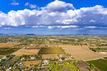 Luftaufnahme von landwirtschaftlichen Feldern gegen bewölkten Himmel an einem sonnigen Tag, Mallorca, Spanien - AMF08516