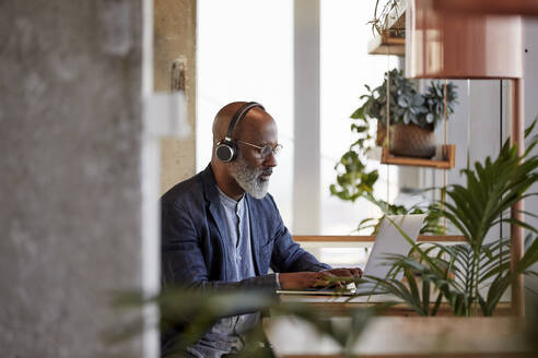 Älterer männlicher Freiberufler, der einen Laptop benutzt, während er am Tisch sitzt und von zu Hause aus arbeitet - FMKF06431