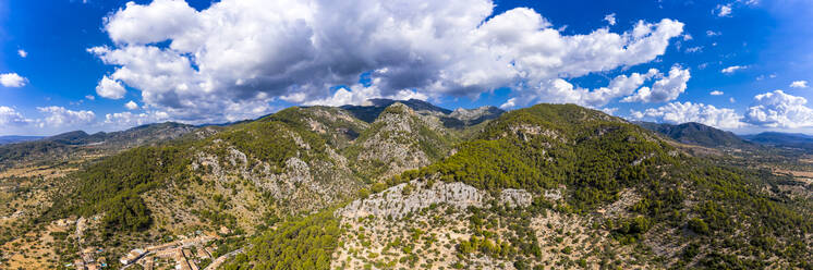 Landschaftliche Ansicht von Pflanzen und Bäumen auf einer Bergkette gegen den Himmel an einem sonnigen Tag, Mallorca, Spanien - AMF08522