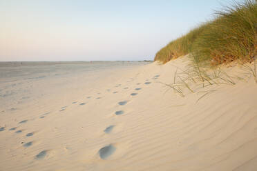 Footprints by marram grass on sand dune at beach against sky during sunset - WIF04324