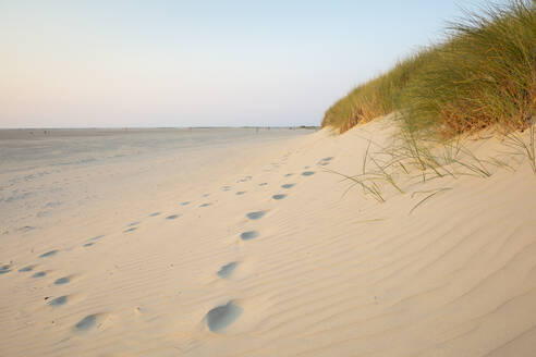 Fußabdrücke von Strandhafer auf einer Sanddüne am Strand gegen den Himmel bei Sonnenuntergang - WIF04324