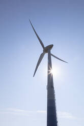 Tall wind turbine against blue sky on sunny day - WIF04325