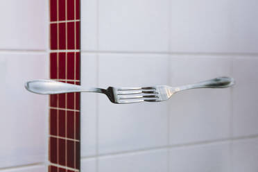 Symmetric reflection of fork on mirror - LCUF00137