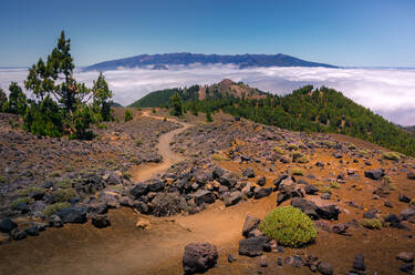 Majestic landscape of mountain range covered with clouds and valley with trees under blue cloudless sky - ADSF15909