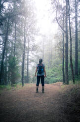 Back view of female tourist with backpack standing on path in woods and exploring nature - ADSF15914