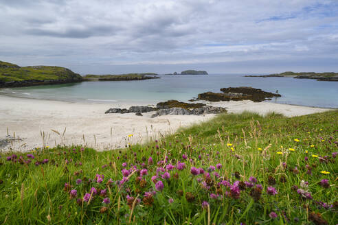 UK, Schottland, Blühende Wildblumen vor dem Bostadh Beach - ELF02226