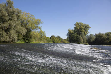 Fluss, der durch Bäume im Naturschutzgebiet Lippeaue fließt, vor blauem Himmel - WIF04343
