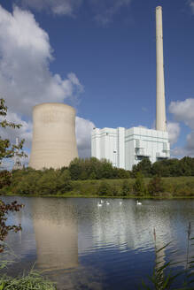 Swans swimming on Lippe River while coal-fired power station in background - WIF04346