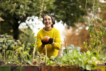 Smiling woman harvesting pumpkin while standing at urban garden - SGF02681