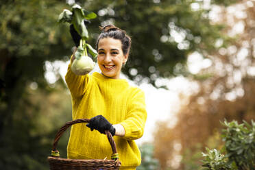 Frau zeigt Kohlrabi, während sie in einem städtischen Garten steht - SGF02685