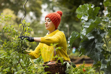 Mittlere erwachsene Frau in warmer Kleidung bei der Gartenarbeit in einem städtischen Garten stehend - SGF02687