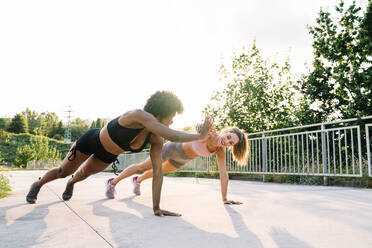 Voller Länge der fröhlichen jungen multiethnischen Frauen in Sportkleidung Durchführung Planke Übung und geben hohe fünf während Fitness-Training im Park im Sommer Tag - ADSF16087