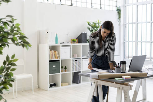 Junge weibliche Designerin, die einen Plan am Schreibtisch untersucht, während sie in einem kreativen Büro arbeitet - GIOF09026