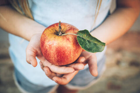 Hands of girl holding fresh organic red apple with leaf stock photo