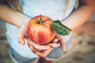 Die Hände eines Mädchens halten einen frischen roten Bio-Apfel mit Blatt - IPF00552