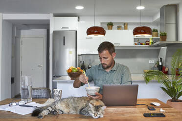 Businessman eating noodles while cat sleeping at dining table - VEGF02991