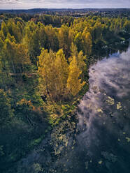 Idyllischer Blick auf den Bethanien-Teich - KNTF05624