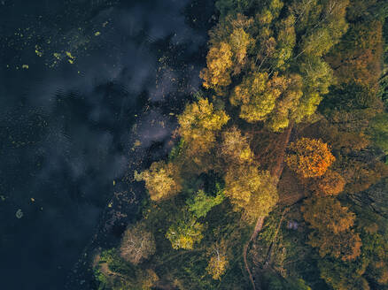 Luftaufnahme von Teich und Baum in Bethanien - KNTF05626