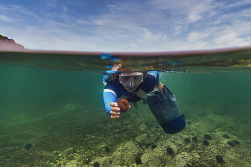Frau mit Tauchanzug und Schwimmbrille zeigt Seeigel beim Tauchen unter Wasser - KNTF05672