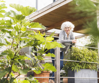 Lächelnde reife Frau lehnt sich an das Geländer, während sie zu Hause auf dem Balkon steht - UUF21597