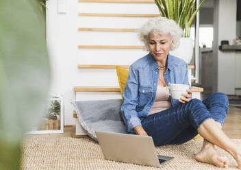 Reife Frau arbeitet am Laptop, während sie zu Hause sitzt - UUF21654