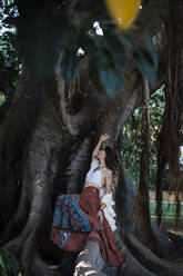 Woman touching tree while sitting under tree at park - DCRF00921