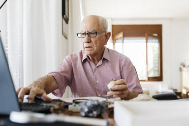 Retired elderly man using laptop while doing research on fossils and minerals at home - JRFF04766