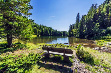 Bank am Seeufer im Wald auf der Turracher Höhe, Gurktaler Alpen, Österreich - THAF02885