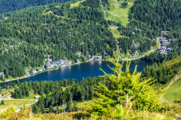 Schöne Landschaft mit See auf der Turracher Höhe, Gurktaler Alpen, Österreich - THAF02888