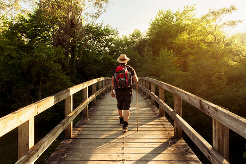 Back view of unrecognizable male wanderer with backpack and wooden stick walking on bridge and enjoying nature during sunset - ADSF16292