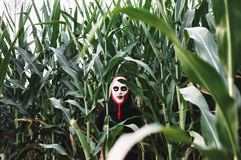 Unrecognizable person wearing masquerade mask and costume standing in cornfield and looking at camera - ADSF16325