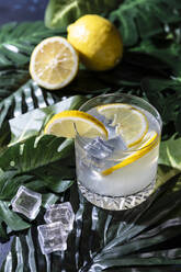Hohe Winkel von Glas kalten erfrischenden alkoholischen Getränk mit Eiswürfeln garniert mit Zitronenscheibe und auf dem Tisch in bar platziert - ADSF16330